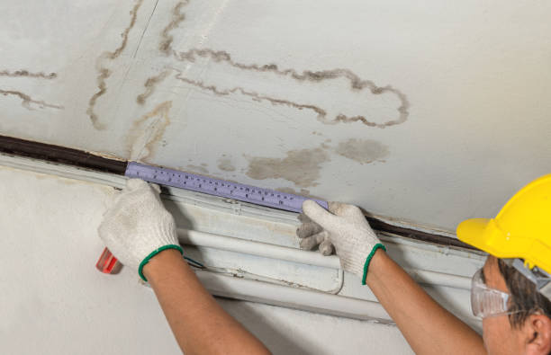 Reliable Water Damage contractor in Port Townsend, WA by Water Damage Irwin